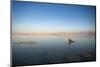 Couple in Healing Mud, Dead Sea, Israel-David Noyes-Mounted Photographic Print