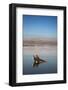 Couple in Healing Mud, Dead Sea, Israel-David Noyes-Framed Photographic Print