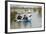 Couple in Kayak During January 2014 Flooding-David Woodfall-Framed Photographic Print