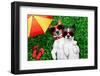 Couple in Love-Javier Brosch-Framed Photographic Print