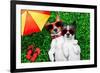 Couple in Love-Javier Brosch-Framed Photographic Print