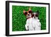 Couple in Love-Javier Brosch-Framed Photographic Print