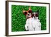 Couple in Love-Javier Brosch-Framed Photographic Print