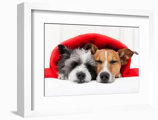 Couple in Love-Javier Brosch-Framed Photographic Print