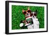 Couple in Love-Javier Brosch-Framed Photographic Print