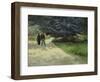 Couple in the Park, Arles, c.1888-Vincent van Gogh-Framed Giclee Print