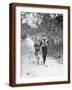 Brown Frame