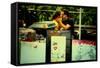 Couple Kissing in Union Square, New York City.-Sabine Jacobs-Framed Stretched Canvas