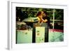 Couple Kissing in Union Square, New York City.-Sabine Jacobs-Framed Photographic Print