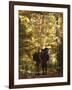Couple Kissing on the Trail During a Hike, Woodstock, New York, USA-Chris Cole-Framed Photographic Print