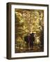 Couple Kissing on the Trail During a Hike, Woodstock, New York, USA-Chris Cole-Framed Photographic Print