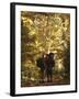 Couple Kissing on the Trail During a Hike, Woodstock, New York, USA-Chris Cole-Framed Photographic Print