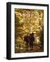 Couple Kissing on the Trail During a Hike-null-Framed Photographic Print