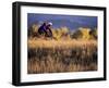 Couple Mountain Biking in Fall-null-Framed Photographic Print