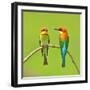 Couple of Bee Eater Bird-Butterfly Hunter-Framed Photographic Print