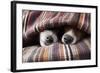 Couple of Dogs in Love Sleeping Together under the Blanket in Bed-Javier Brosch-Framed Photographic Print