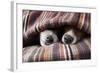 Couple of Dogs-Javier Brosch-Framed Photographic Print