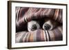 Couple of Dogs-Javier Brosch-Framed Photographic Print
