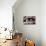 Couple of Dogs-Javier Brosch-Photographic Print displayed on a wall
