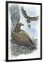 Couple of Golden Eagles Aquila Chrysaetos Female Warms Eggs While Male Brings Her Hare-null-Framed Giclee Print