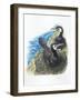 Couple of Great Cormorants Phalacrocorax Carbo, Female Is in Nest Warming the Eggs-null-Framed Giclee Print