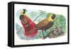 Couple of Red Birds of Paradise Paradisaea Rubra; Female Feeding Chicks in Nest-null-Framed Stretched Canvas