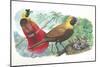 Couple of Red Birds of Paradise Paradisaea Rubra; Female Feeding Chicks in Nest-null-Mounted Giclee Print