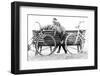 Couple on a Bench - Two Lovers Sitting on a Bench in a Park and Holding Themselves by Hands - Conce-Oneinchpunch-Framed Photographic Print