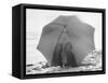 Couple on Beach under Umbrella-null-Framed Stretched Canvas