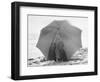 Couple on Beach under Umbrella-null-Framed Photographic Print