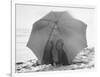 Couple on Beach under Umbrella-null-Framed Photographic Print