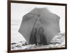 Couple on Beach under Umbrella-null-Framed Photographic Print