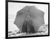 Couple on Beach under Umbrella-null-Framed Photographic Print