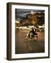 Couple on Moped Carrying Floral Display, Hanoi, Vietnam, Indochina, Southeast Asia, Asia-Purcell-Holmes-Framed Photographic Print