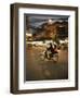 Couple on Moped Carrying Floral Display, Hanoi, Vietnam, Indochina, Southeast Asia, Asia-Purcell-Holmes-Framed Photographic Print