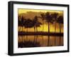 Couple, Palm Trees and Sunset Reflecting in Lagoon at Anaeho'omalu Bay, Big Island, Hawaii, USA-Merrill Images-Framed Photographic Print