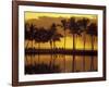 Couple, Palm Trees and Sunset Reflecting in Lagoon at Anaeho'omalu Bay, Big Island, Hawaii, USA-Merrill Images-Framed Photographic Print