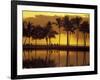 Couple, Palm Trees and Sunset Reflecting in Lagoon at Anaeho'omalu Bay, Big Island, Hawaii, USA-Merrill Images-Framed Photographic Print