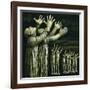 Couple Reaching Up, 1981-Evelyn Williams-Framed Giclee Print