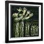 Couple Reaching Up, 1981-Evelyn Williams-Framed Giclee Print