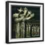 Couple Reaching Up, 1981-Evelyn Williams-Framed Giclee Print