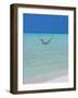 Couple Relaxing in Hammock, Maldives, Indian Ocean, Asia-Sakis Papadopoulos-Framed Photographic Print