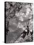 Couple Relaxing on Bank of Seine Near Notre Dame Cathedral During Lunch Hour-Alfred Eisenstaedt-Stretched Canvas