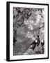 Couple Relaxing on Bank of Seine Near Notre Dame Cathedral During Lunch Hour-Alfred Eisenstaedt-Framed Photographic Print