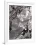 Couple Relaxing on Bank of Seine Near Notre Dame Cathedral During Lunch Hour-Alfred Eisenstaedt-Framed Photographic Print