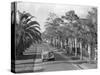 Couple Ride in Car/Tree-Lined Street-Philip Gendreau-Stretched Canvas