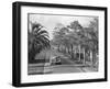 Couple Ride in Car/Tree-Lined Street-Philip Gendreau-Framed Photographic Print