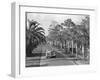 Couple Ride in Car/Tree-Lined Street-Philip Gendreau-Framed Photographic Print