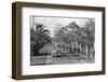 Couple Ride in Car/Tree-Lined Street-Bettmann-Framed Photographic Print