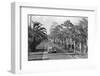 Couple Ride in Car/Tree-Lined Street-Bettmann-Framed Photographic Print